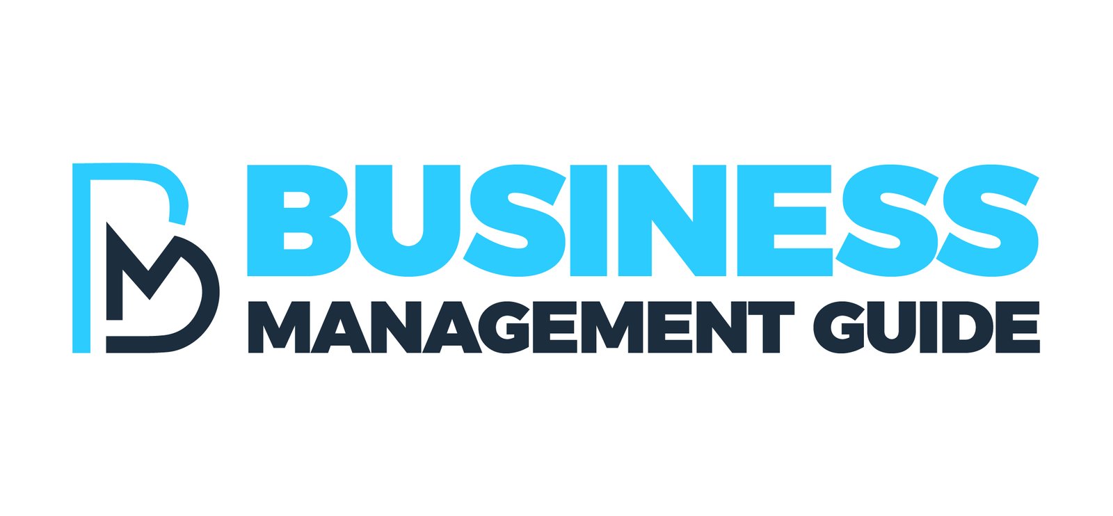 Business Management Guide
