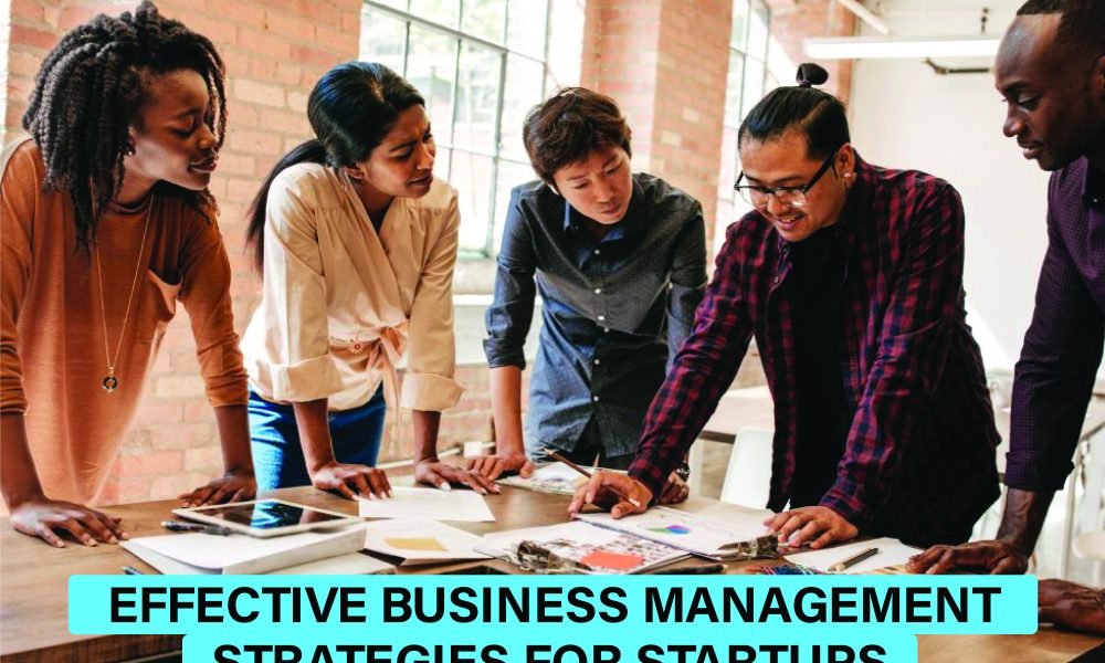 Visual guide showcasing business management strategies for startups, including planning, team building and growth tactics to drive success.