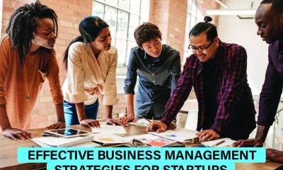 Visual guide showcasing business management strategies for startups, including planning, team building and growth tactics to drive success.
